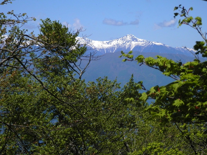 北岳と櫛形山（手前）を望む