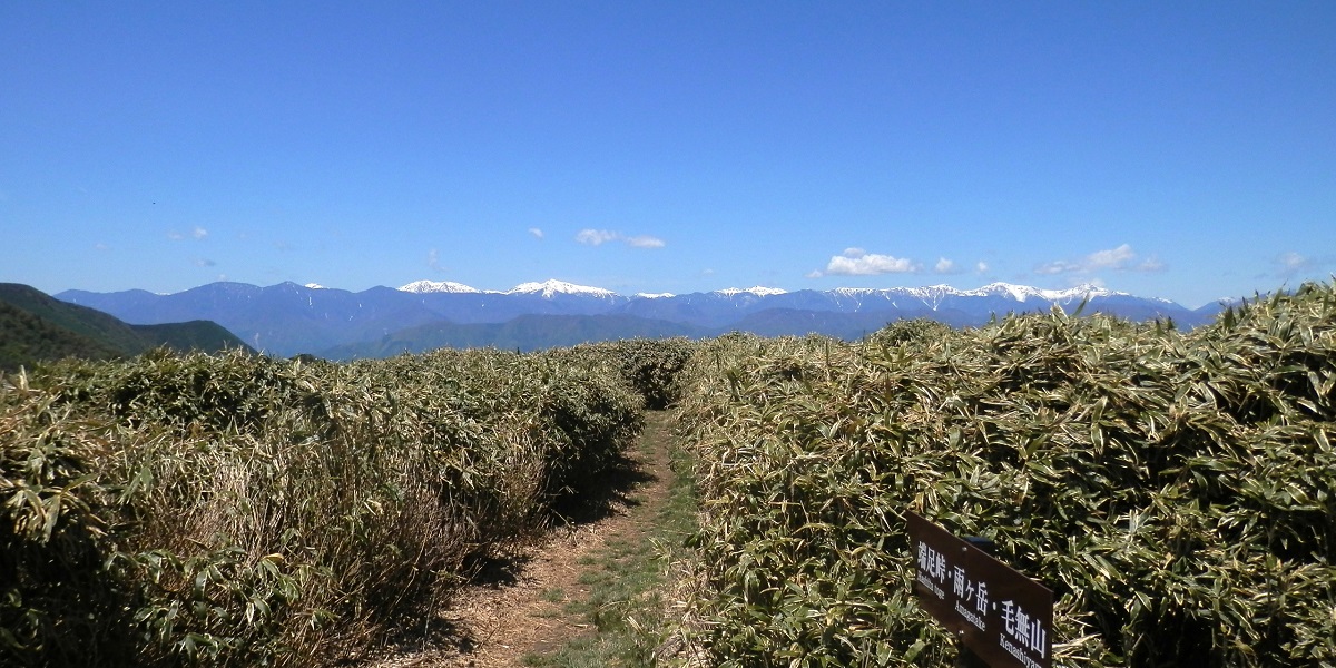 竜ヶ岳より、南アルプスを望む