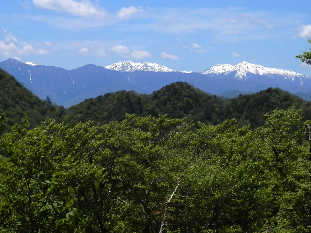 聖岳、赤石岳、悪沢岳を望む