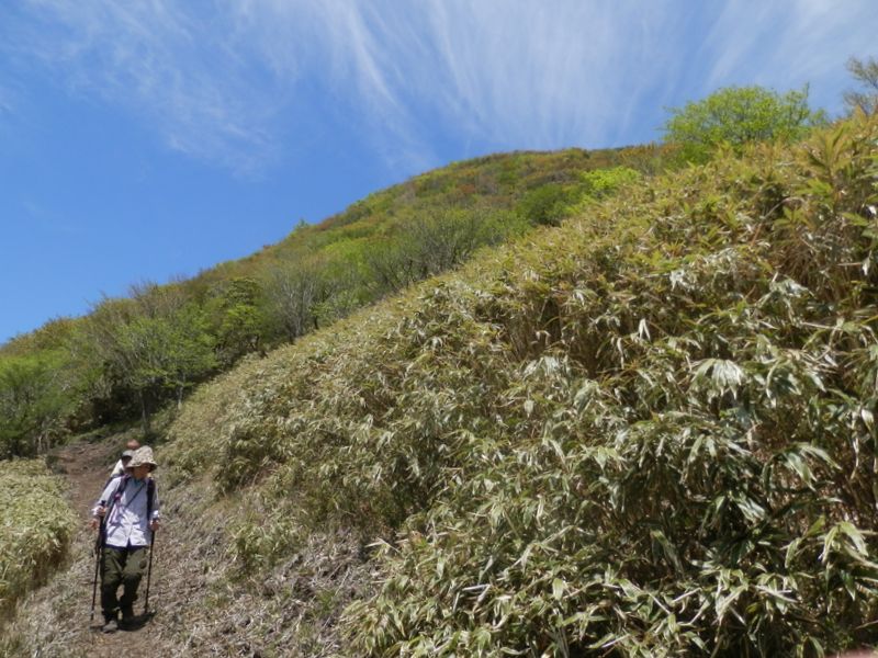 竜ヶ岳を西面から振り返る