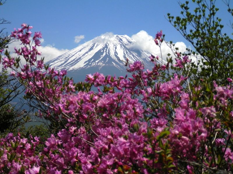下山する前に、きょうの富士山を目に焼き付ける