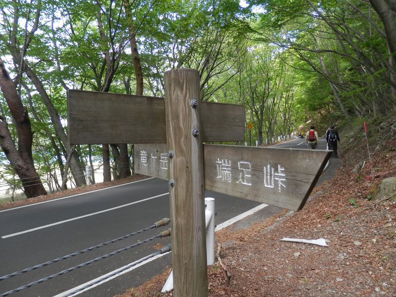 竜ヶ岳 -- 本栖湖畔の県道に下り立つ