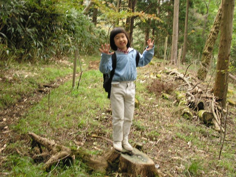 丹沢 -- 暗い三ノ塔尾根で、手が振れてしまいました