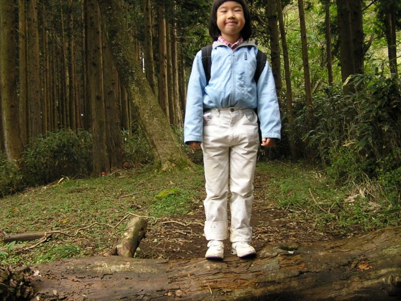 丹沢 -- 三ノ塔尾根には倒木がかなりありました