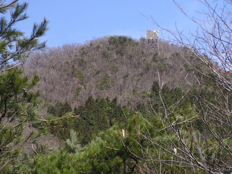 笹子雁ケ腹摺山 -- まもなく山頂