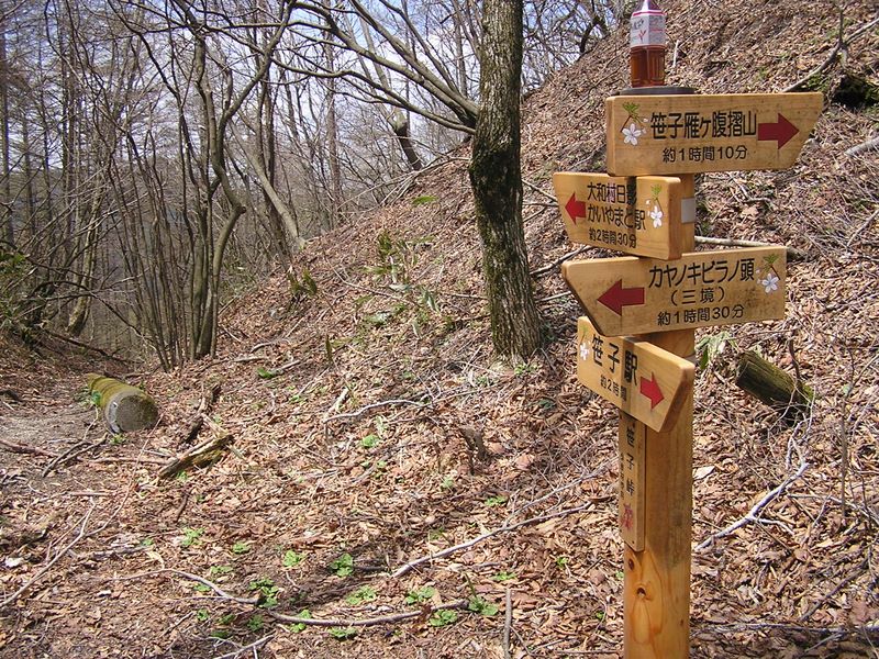 笹子雁ケ腹摺山 -- 昔の人々が通行した笹子峠