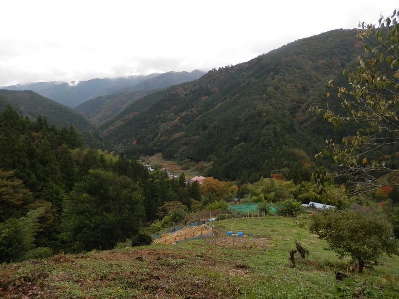 あの谷間の道（県道18号）をバスでやって来た