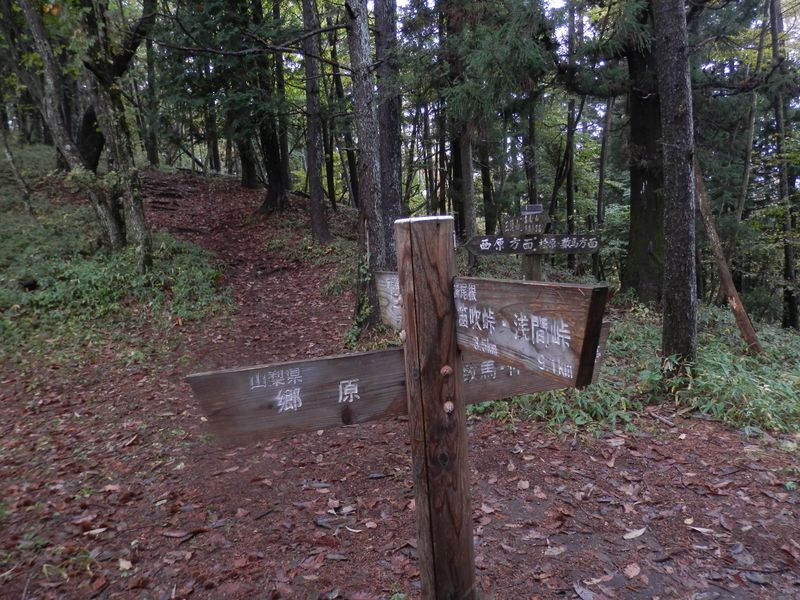 再び西原峠。笹が少々見られる