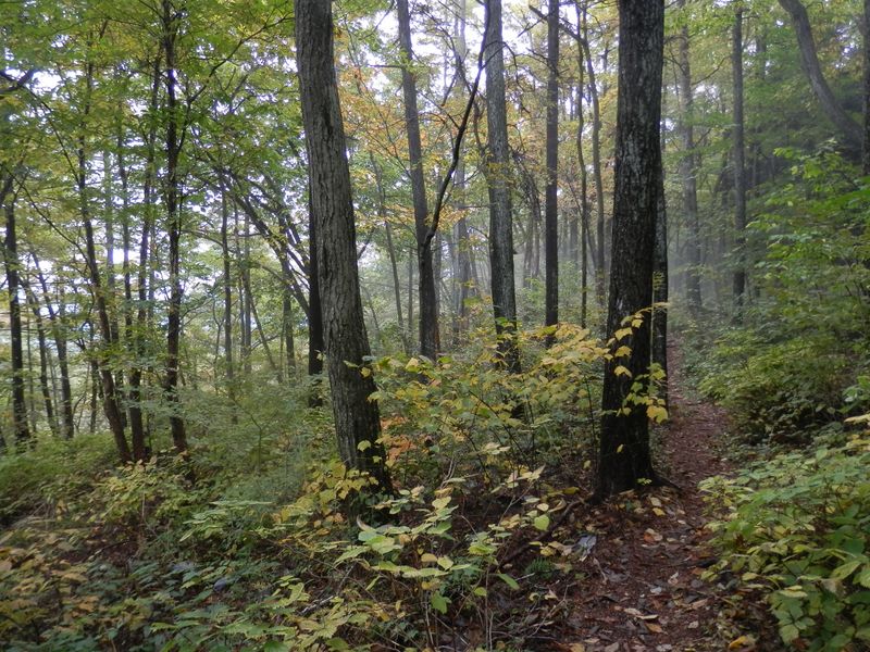 ガスが濃くなってきて、雨も落ちてきた