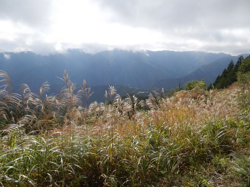 笹尾根西部 -- この日最大の展望地