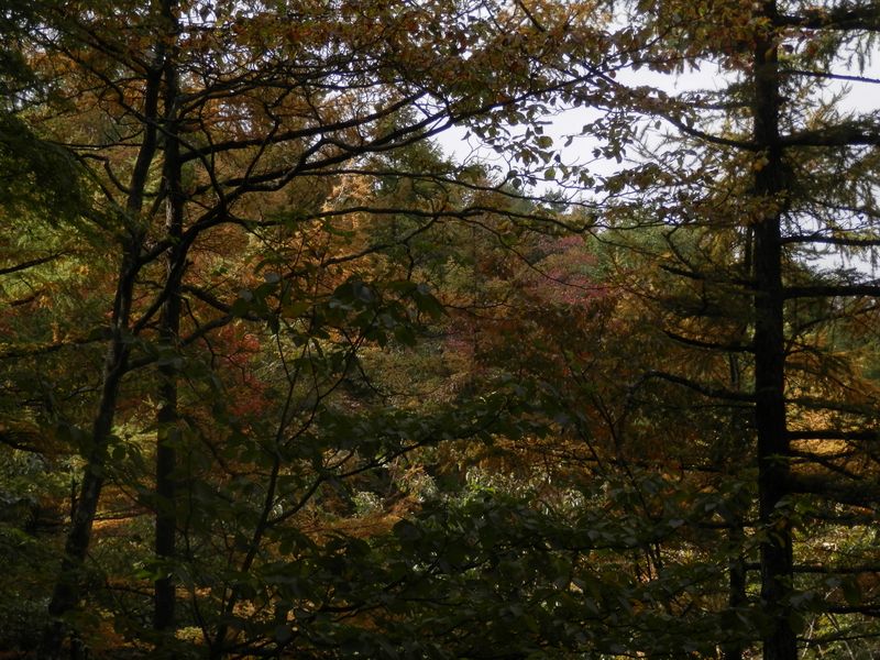 写真は撮り方でこんなに結果が違う