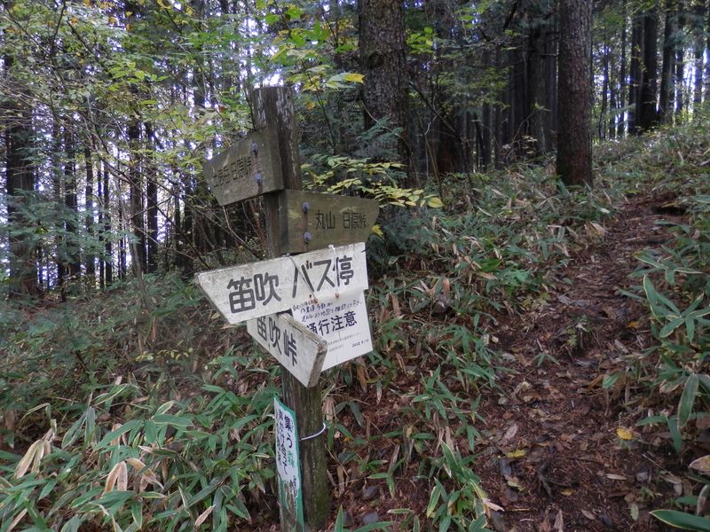 直進はまき道。右は丸山へ