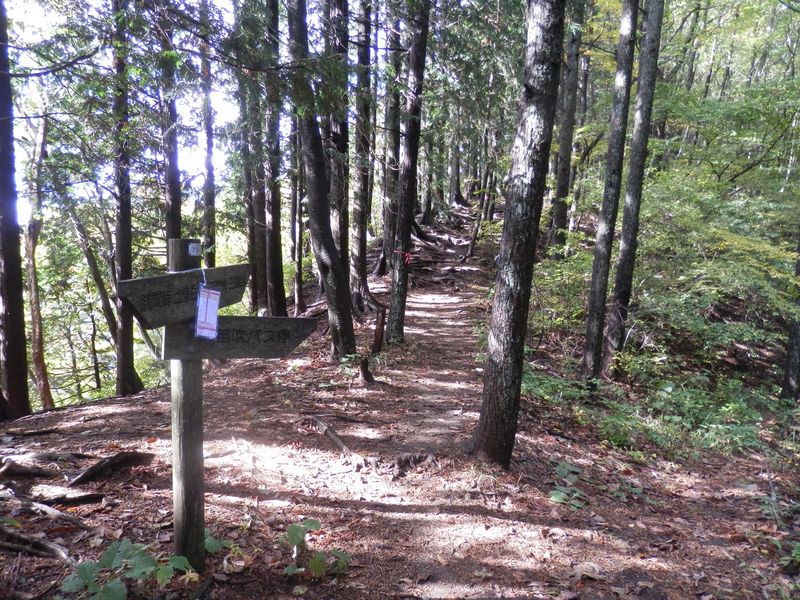 笛吹バス停分岐