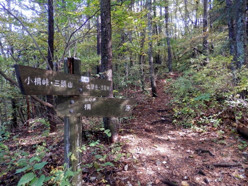 小棡峠はいつ通過したのかな？