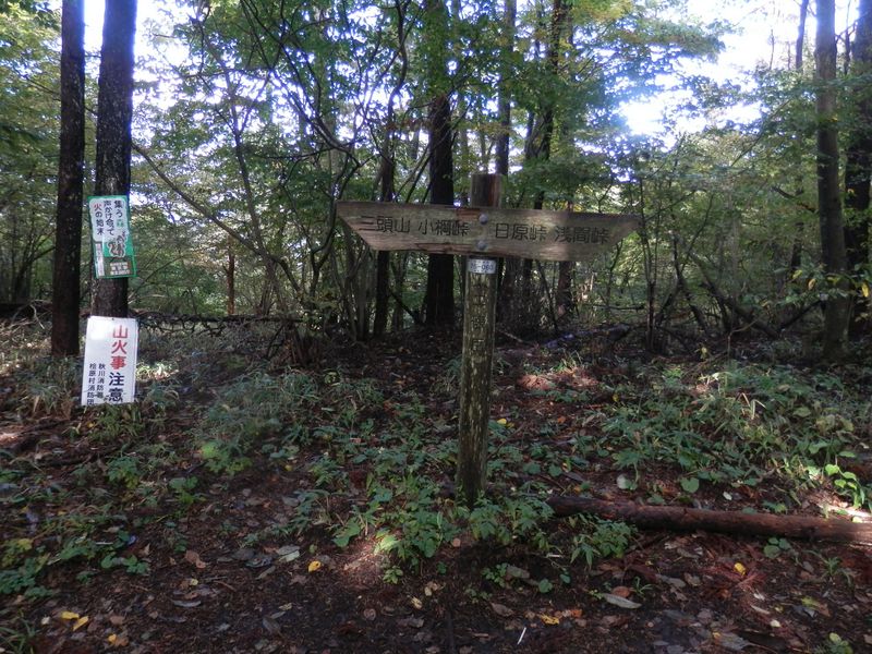 土俵岳。展望なし