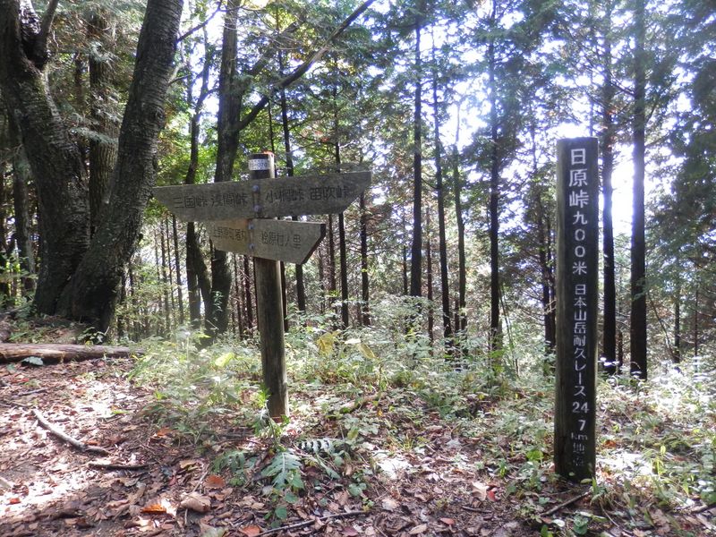 日原峠から猪丸方向に30秒ほど歩くと、富士山が見えた