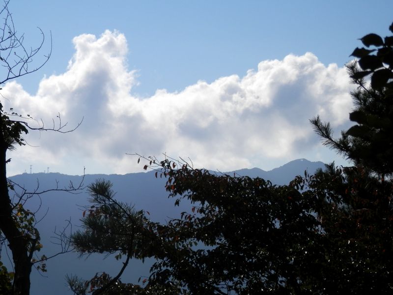 雨降山（鉄塔）と権現山（右）