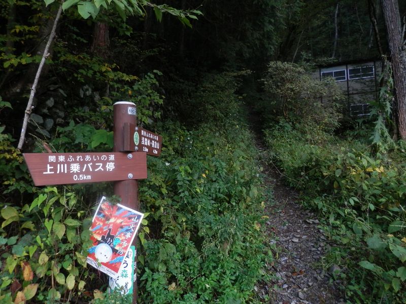 登山道はここで終わり