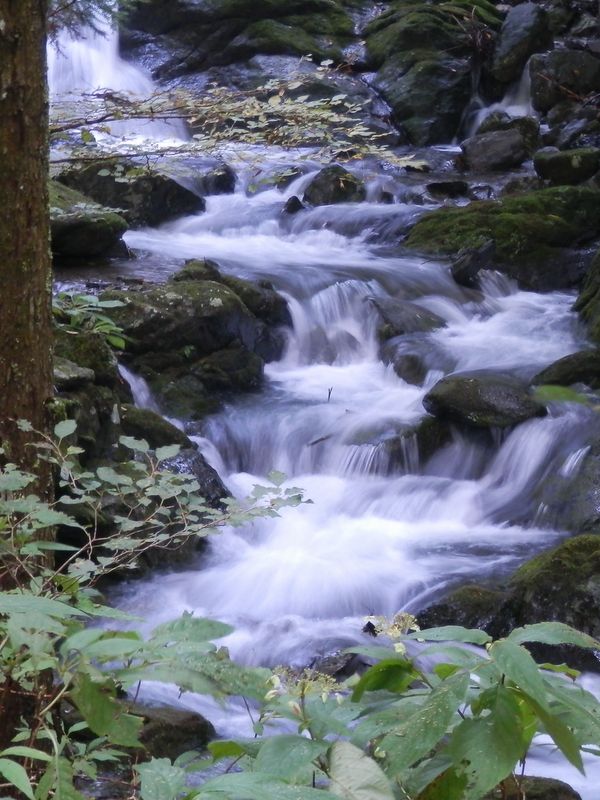 三二山川の渓流