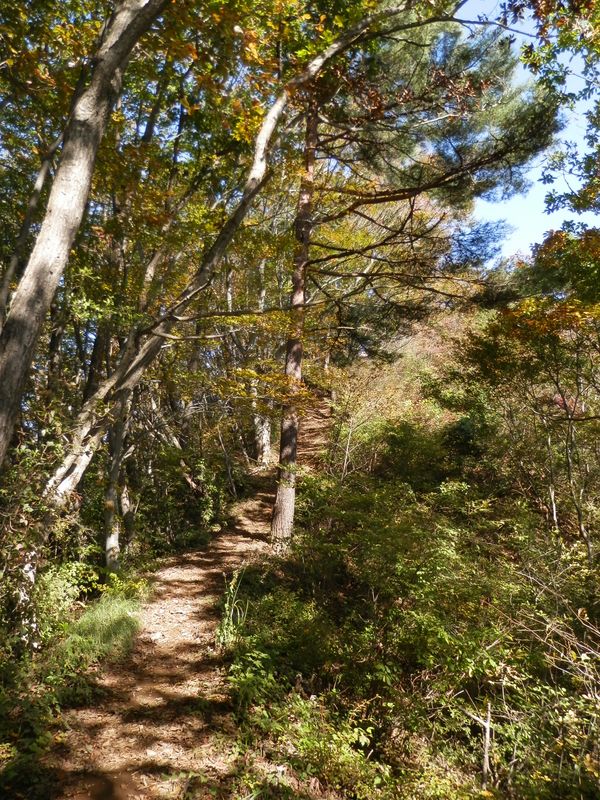 熊倉山まであと1分