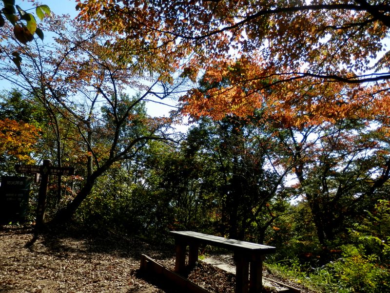 三国山頂も色づき始め