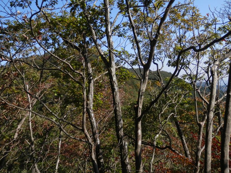 行く手の茅丸を望む