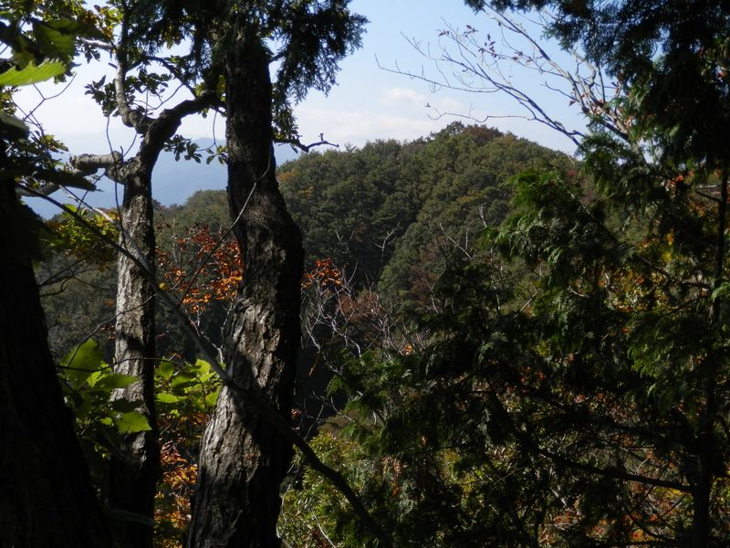 生藤山を振り返る