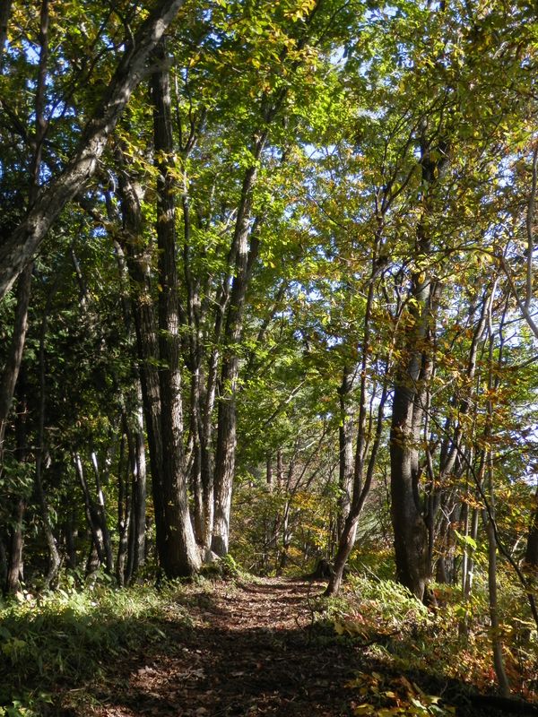 まもなく連行峰