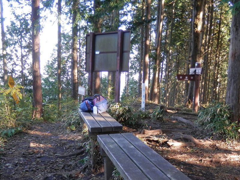 醍醐丸は、八王子市最高峰