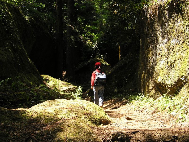 石老山 -- トトロが住んでいそう