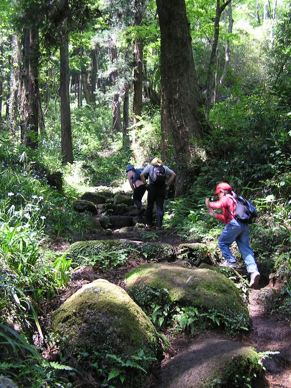 石老山 -- 苔むした岩が多い山です