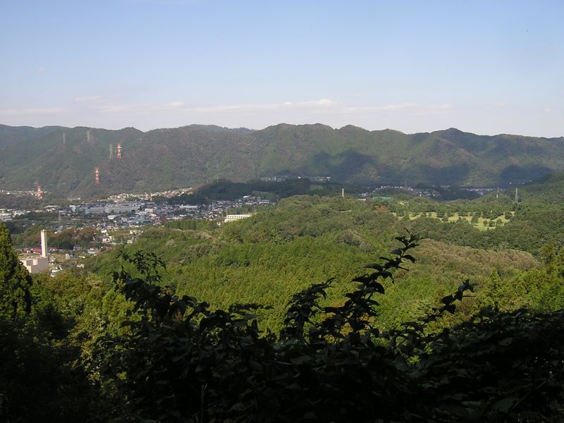 仙洞寺山 -- 林道より南高尾山稜を望む