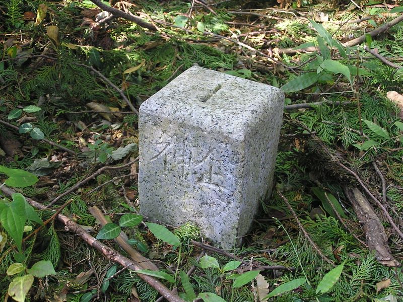 仙洞寺山 -- ５４１ｍ峰の石標