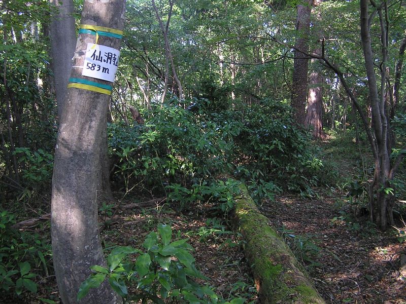 仙洞寺山に到着