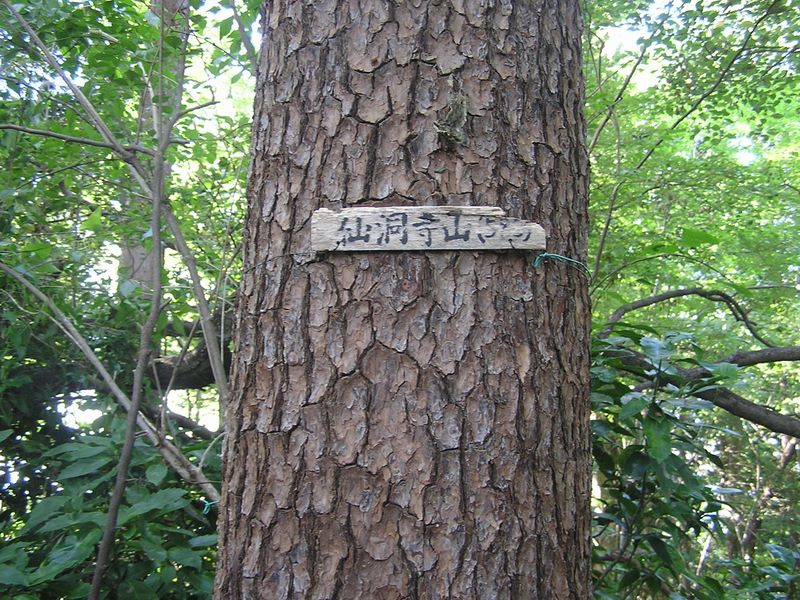 仙洞寺山 -- 仙洞寺山（５８３）と書かれている