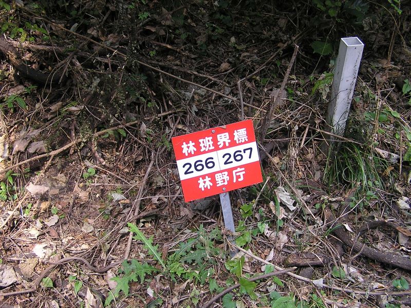 仙洞寺山 -- 周回林道の林班界標