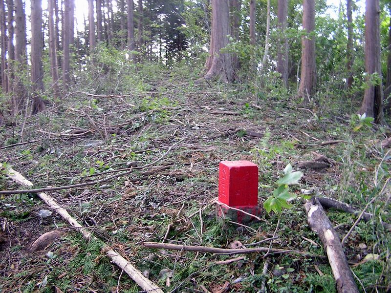 仙洞寺山 -- 周回林道を横断して進んだ尾根上の石標