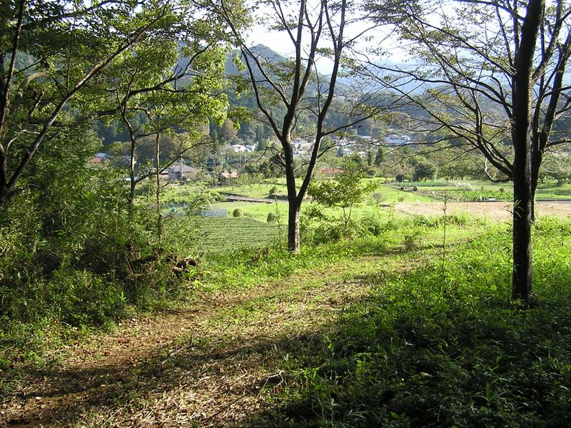 仙洞寺山 -- これより人里（渡戸集落）に入る