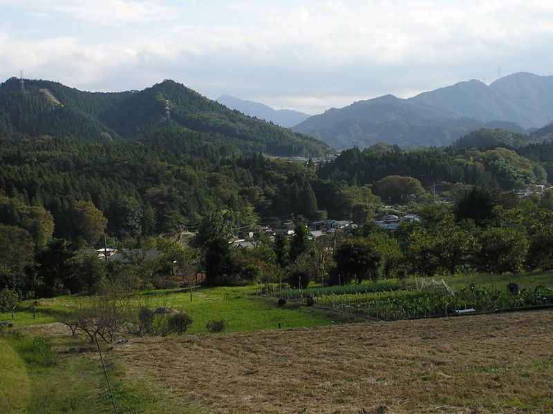 仙洞寺山 -- 渡戸の畑地より、正面遠方に大山が見える