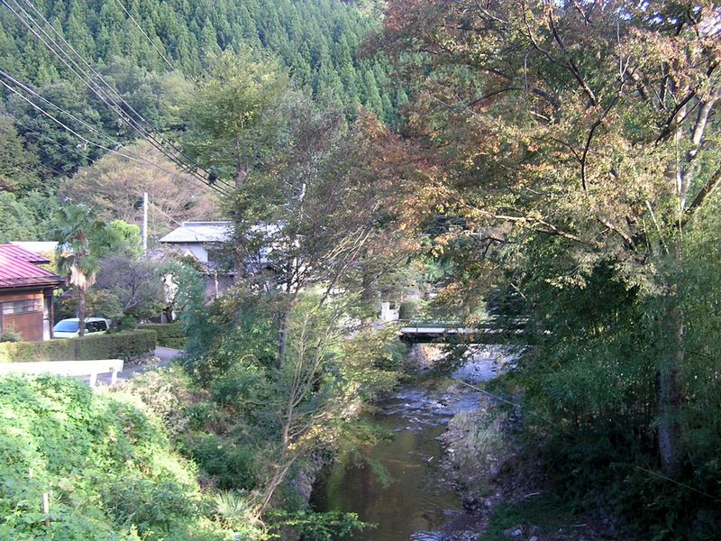 仙洞寺山 -- あの橋を渡るとバス道路に出られる
