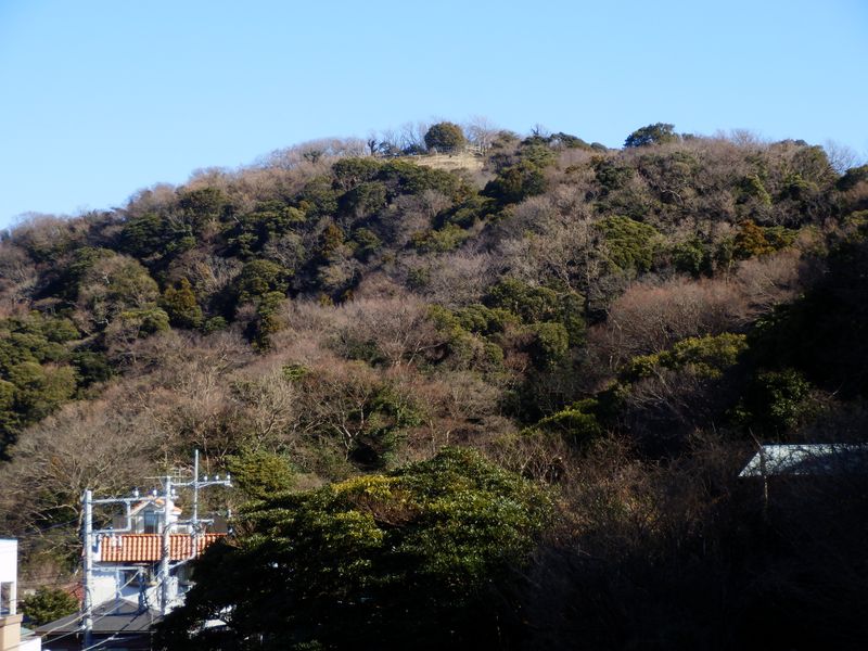 仙元山の頂上が見える