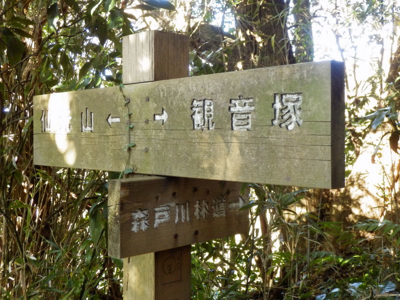 下沢尾根に進む