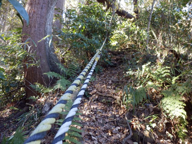 急勾配の道には、トラロープ