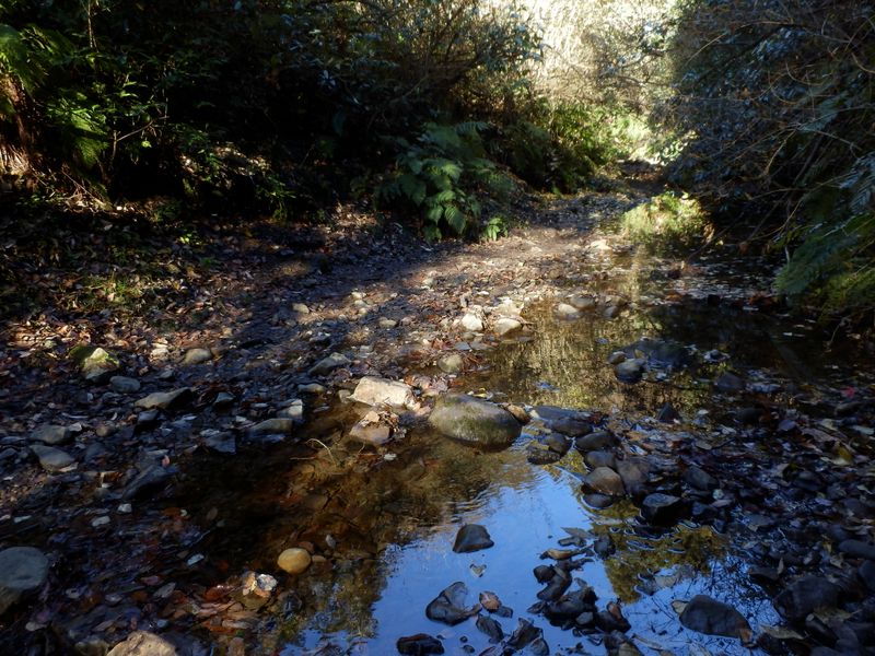 飛び石で容易に渡渉