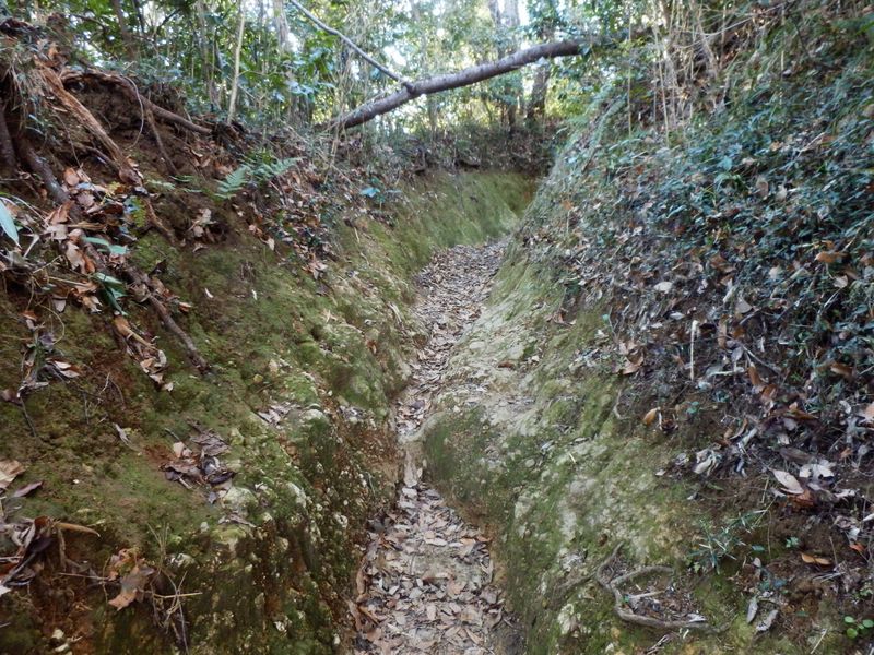 Ｖ字状にえぐれた道