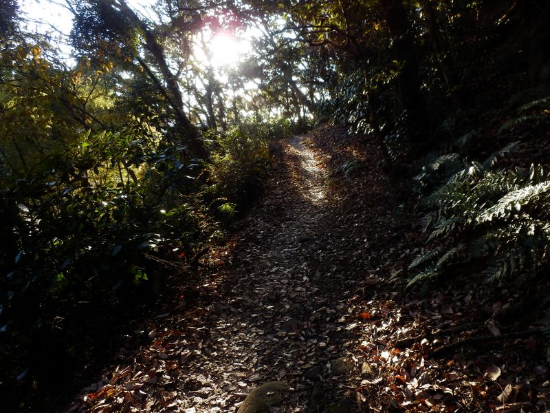 まもなく沼間小学校