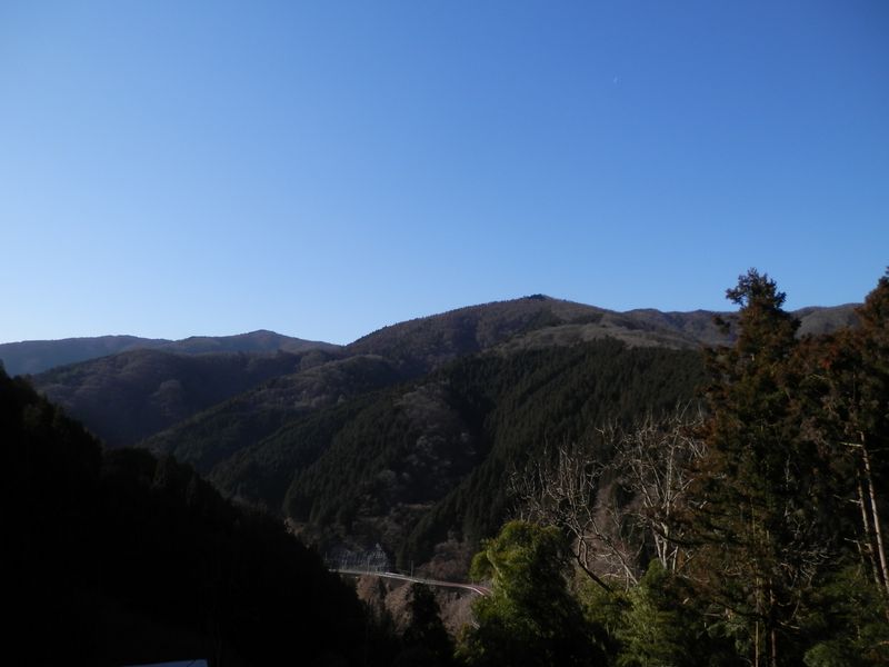 笹尾根を望む。丸山付近か。