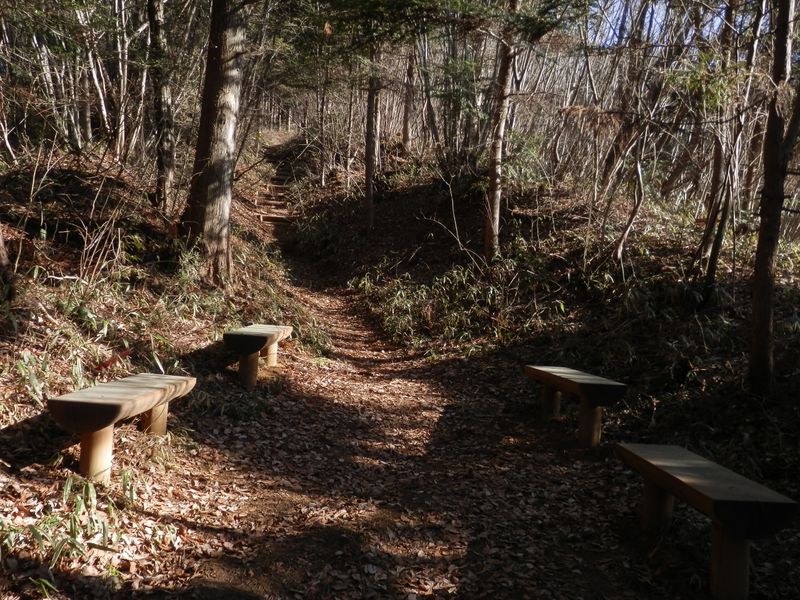 道が明るくなってきた