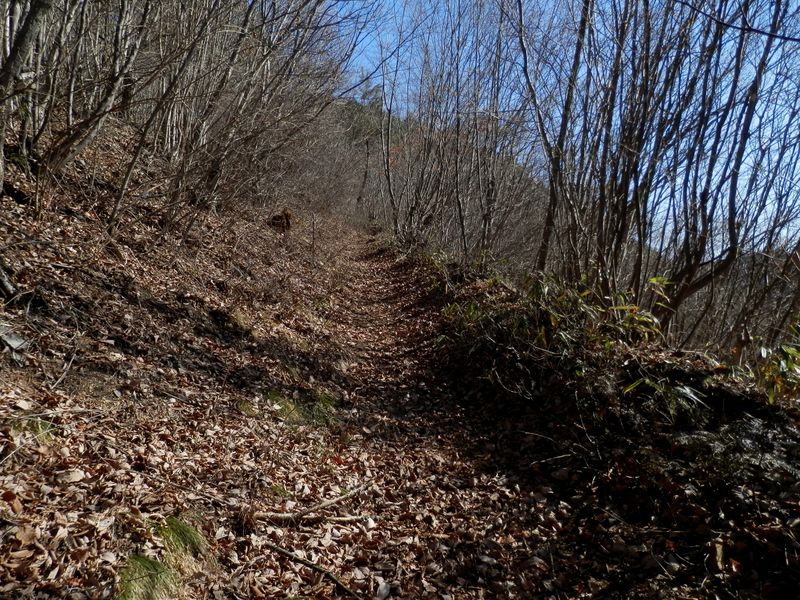 日差しが明るくポカポカ日和