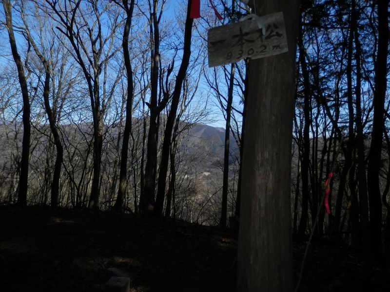 一本松山頂